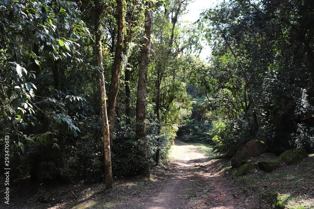 The charms of Aldeia do Imigrante Park one of the main tourist spots of Nova Petrópolis. It was created to rescue and preserve the historical past of the immigrants who colonized this region. The charms of Aldeia do Imigrante Park one of the main tourist spots of Nova Petrópolis. It was created to rescue and preserve the historical past of the immigrants who colonized this region.