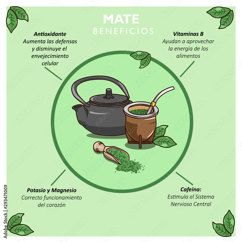 Beneficios del Mate vector de Stock | Adobe Stock