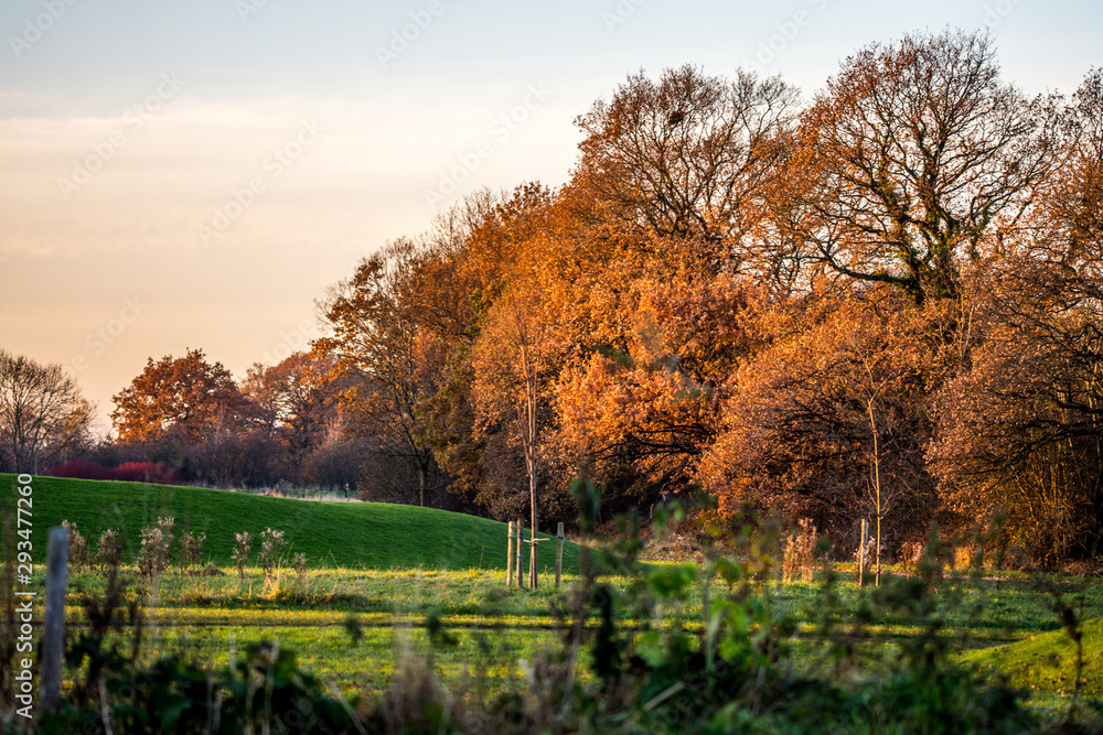 Autumn colours with the snset in United Kingdom, Cheshire Autumn colours with the snset in United Kingdom, Cheshire