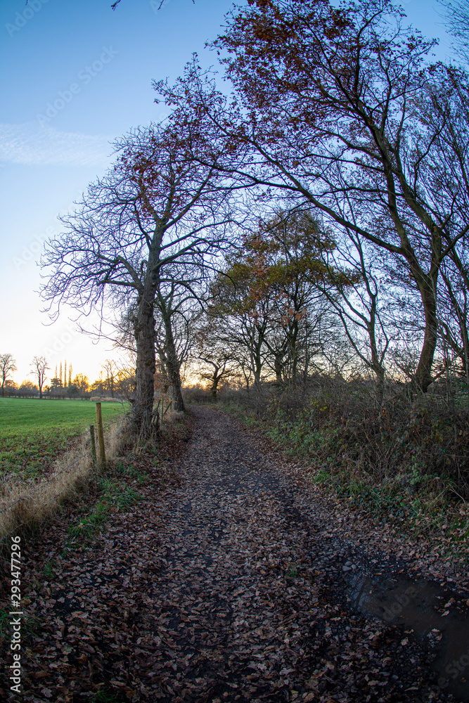Obraz premium Autumn colours with the snset in United Kingdom, Cheshire