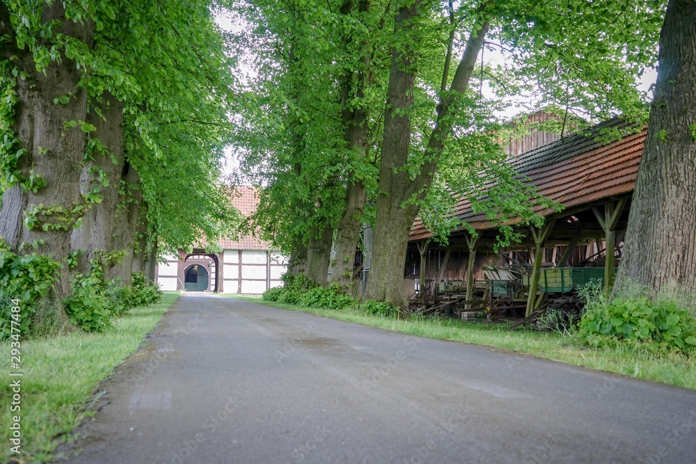Artländischer Bauernhof mit Hofeinfahrt und alter Baumallee Artländischer Bauernhof mit Hofeinfahrt und alter Baumallee