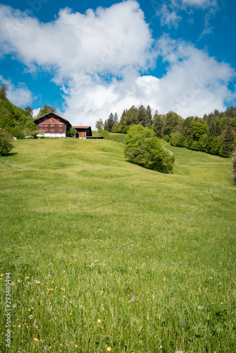 Schöner abgelegener Bauenhof eingebettet in der Oberallgäuer Landschaft