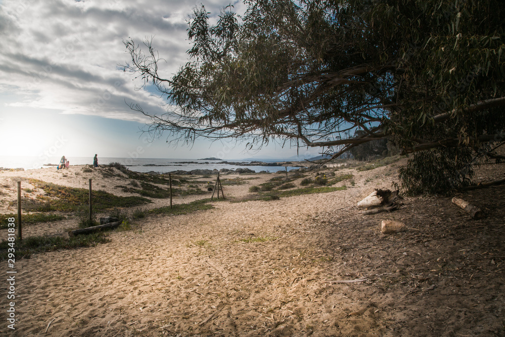 Fototapeta premium beach with sand and stones