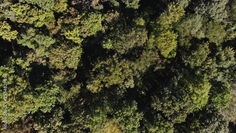 Aerial overhead shot over a forest in Pennsylvania. Aerial overhead shot over a forest in Pennsylvania.