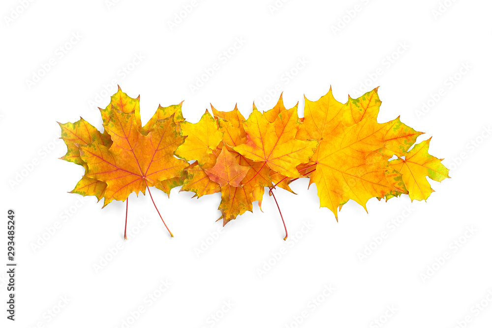 Autumn leaves on white background, isolated. High resolution Autumn leaves on white background, isolated. High resolution