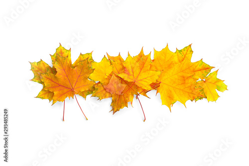 Autumn leaves on white background, isolated. High resolution