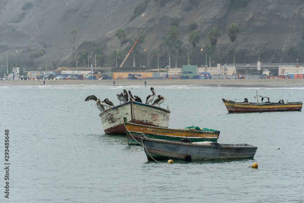 Fototapeta premium chorrillos