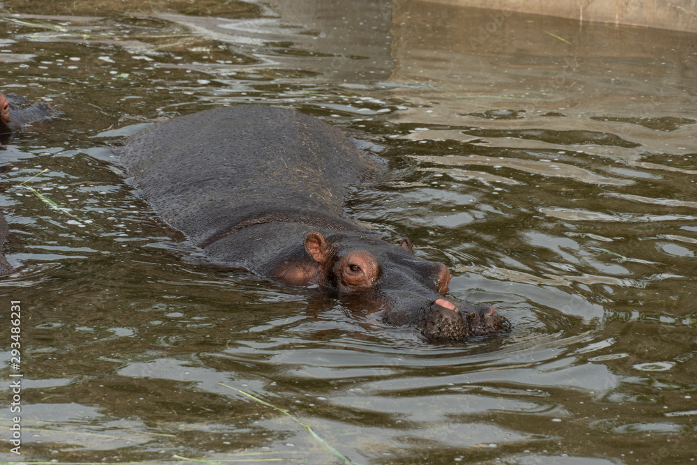 Fototapeta premium Parque de las leyendas