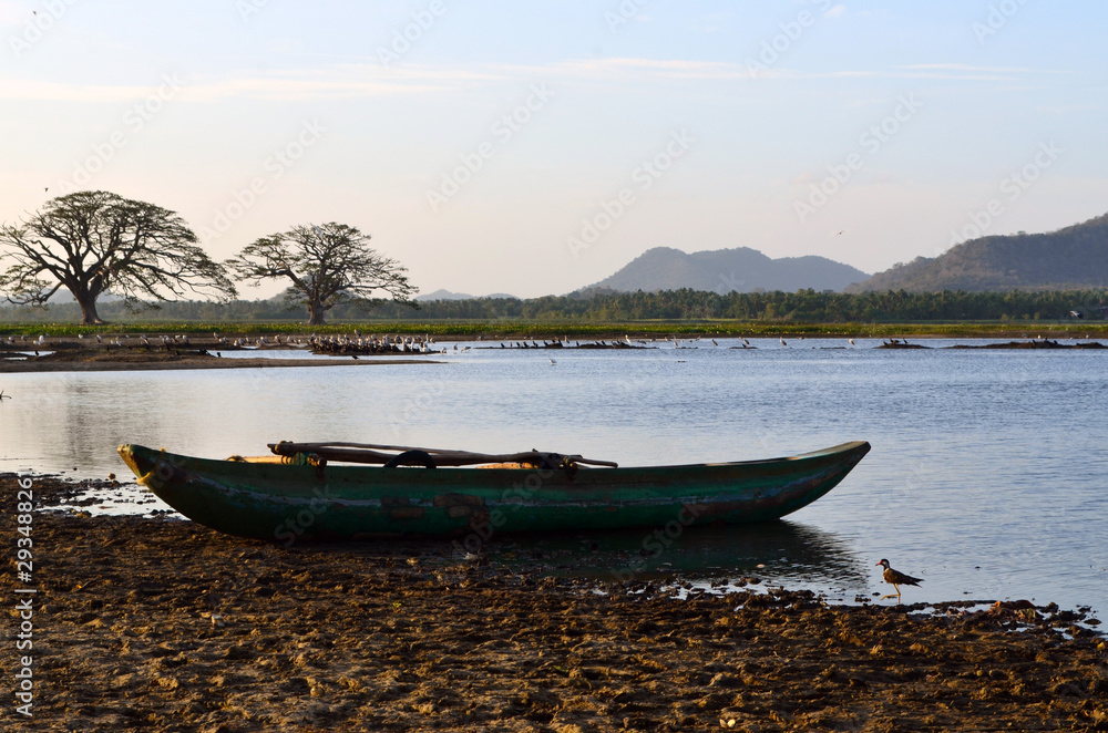 Boat and birds in Tissa Wewa lake with Indian rain trees in the background, Tissamaharama, Sri Lanka