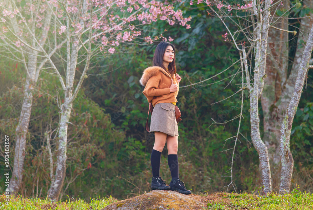 Beautiful thai woman in garden of Sakura Trees or Cherry blossom Beautiful thai woman in garden of Sakura Trees or Cherry blossom
