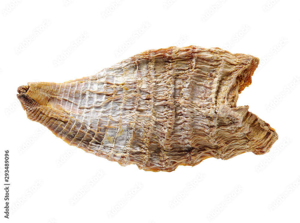 Dry young bamboo shoot on white background Dry young bamboo shoot on white background