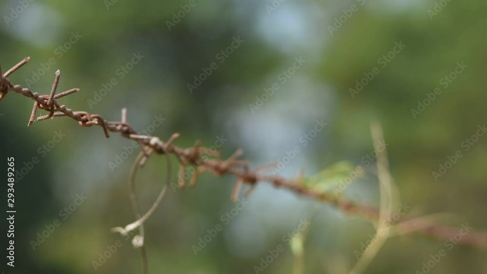 old barb wire on High midday temperature with some mirage effect. old barb wire on High midday temperature with some mirage effect.
