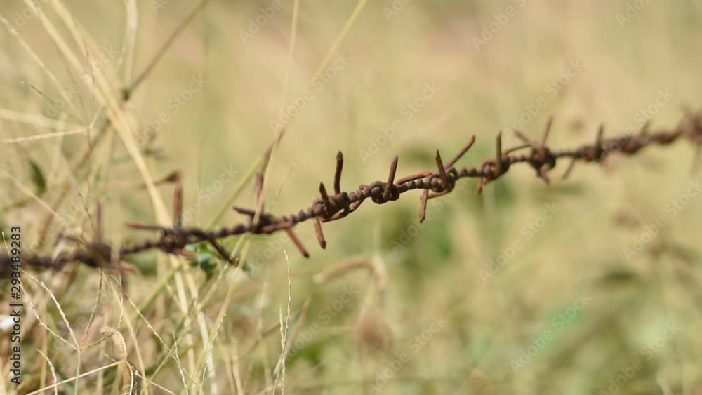 old barb wire on High midday temperature with some mirage effect. old barb wire on High midday temperature with some mirage effect.