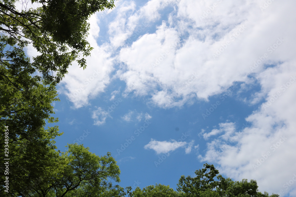 Blue sky, white clouds and green trees in hot summer. Blue sky, white clouds and green trees in hot summer.
