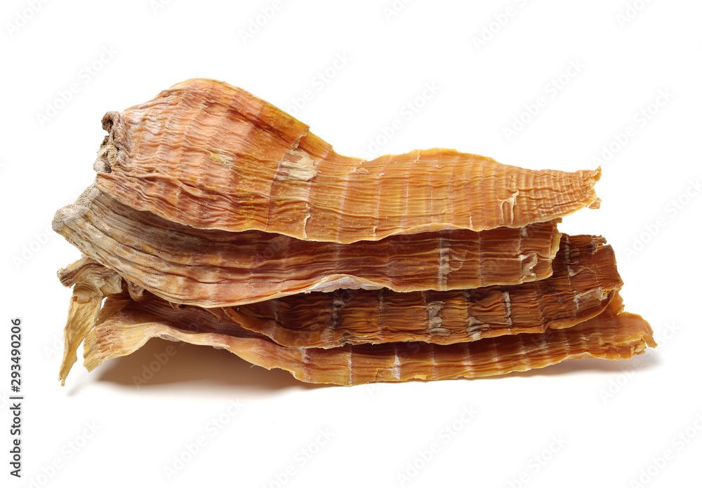 Dry young bamboo shoot on white background Dry young bamboo shoot on white background