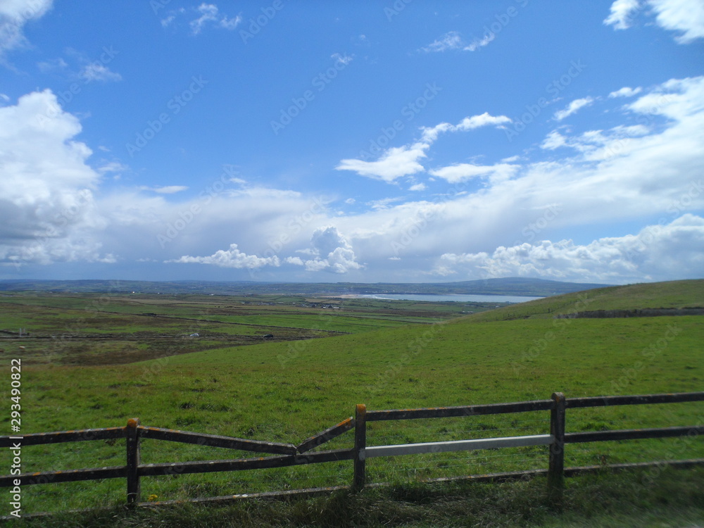 fence in a field