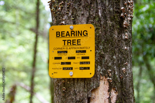 Bearing Tree Sign