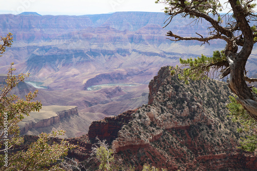 View of the Colorado River in the Grand Canyon