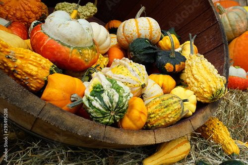 Beautiful Thanksgiving decoration concept. Decorative pumpkins and other vegetables with different shape and colors close up. photo