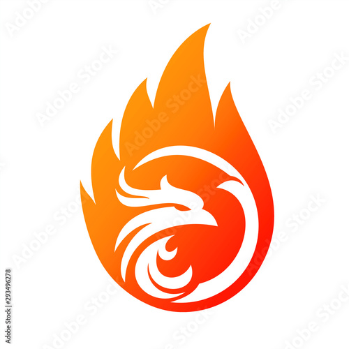 Charming Phoenix Illustration for Icon or Logo concept