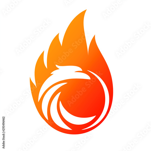 Charming Phoenix Illustration for Icon or Logo concept