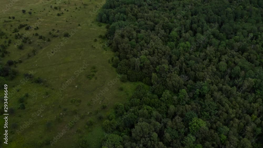 Aerial of green landscape tilting towards the horizon Aerial of green landscape tilting towards the horizon