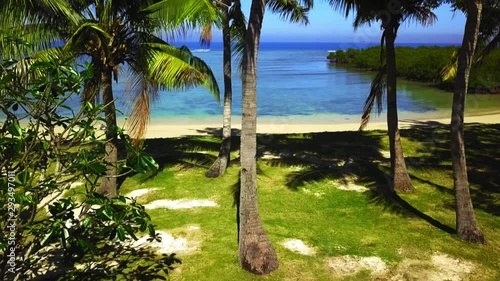 Aerial view on beachfront with palmtress in foreground and pacific ocean in background photo