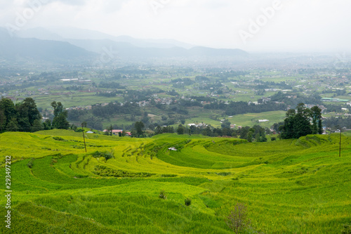 Terraced Rice Fields on a Hillside