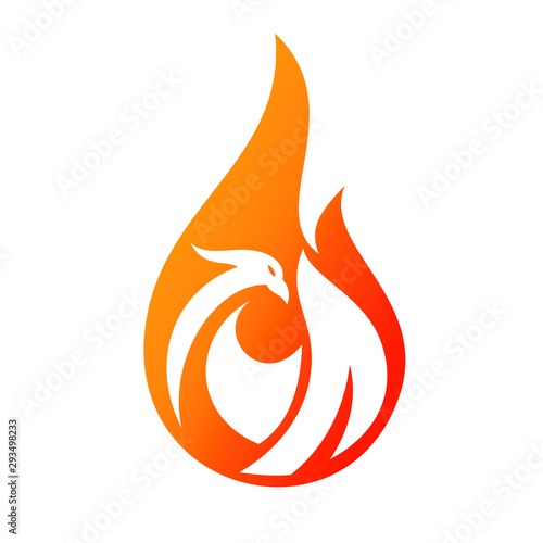 Charming Phoenix Illustration for Icon or Logo concept