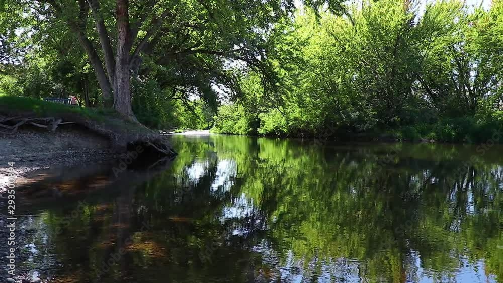 Slow Moving River With Forest Trees Reflecting Off Water Slow Pan 20 Second Video Slow Moving River With Forest Trees Reflecting Off Water Slow Pan 20 Second Video