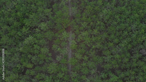 Aerial vertical view of a sand road inside a beautiful pine wood forest. photo