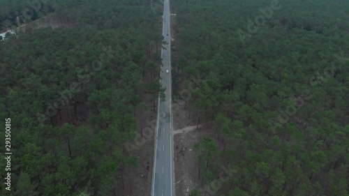 Aerial view of a road splitting a beautiful pine wood forest. photo