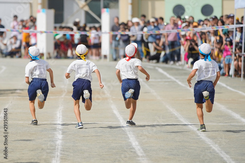 小学校の運動会 photo