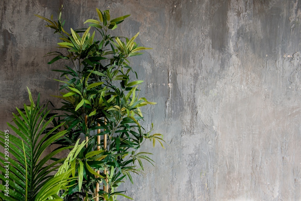 Obraz premium against the gray wall in the loft style green plant