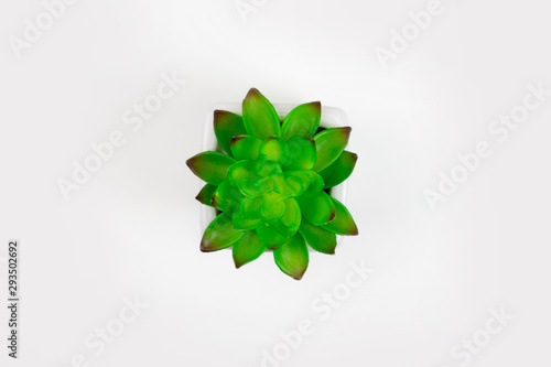 Top view of a flower pot on a white background. Isolated background.