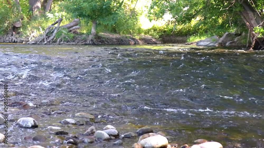 A River Flowing Through The Forest On The Boise Idaho Green Belt Low angle 20 Slow Motion Second Video. A River Flowing Through The Forest On The Boise Idaho Green Belt Low angle 20 Slow Motion Second Video.