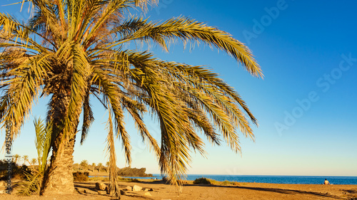 Percheles Beach  Murcia Spain