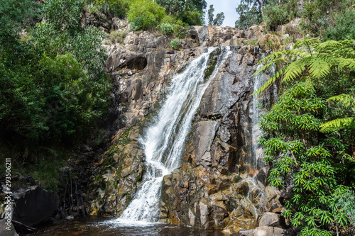 Steavenson Falls cascading into Steavenson River Valley near Marysville in Victoria, Australia. photo