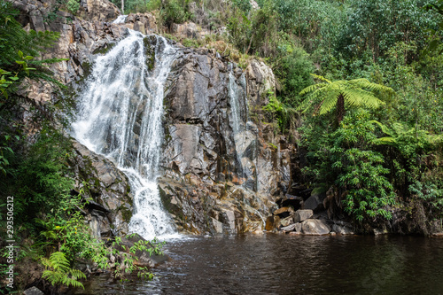 Steavenson River Valley near Marysville in Victoria, Australia.