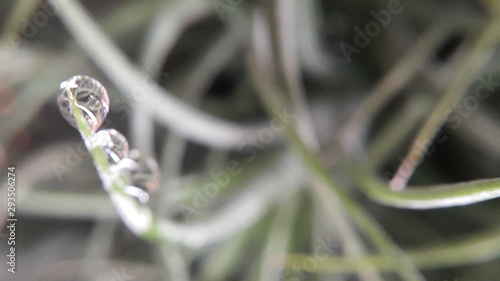 closeup of a cable