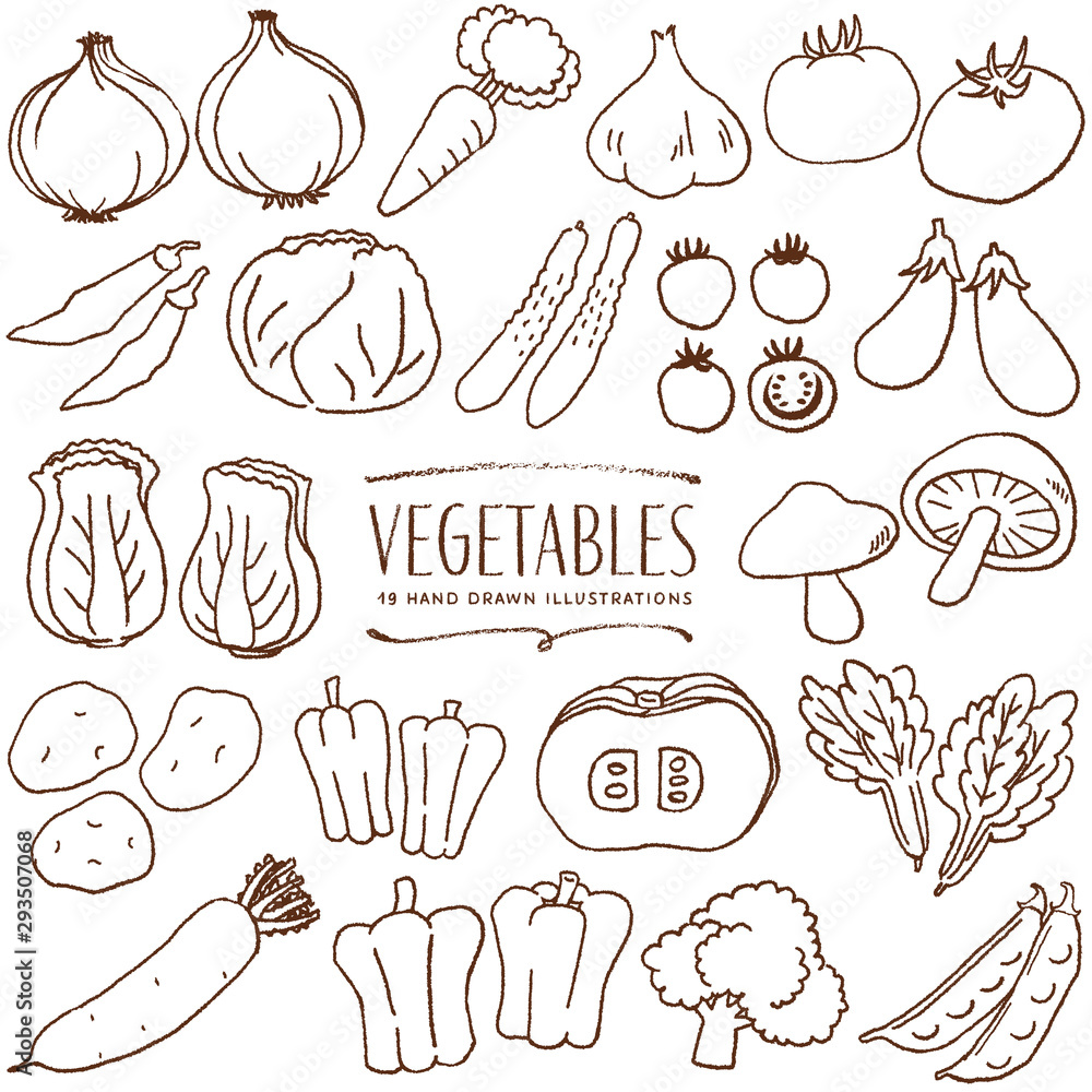 野菜 手描き イラスト 線画 Stock Vector Adobe Stock