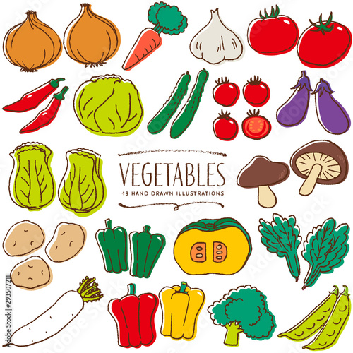 野菜 手描き イラスト 色