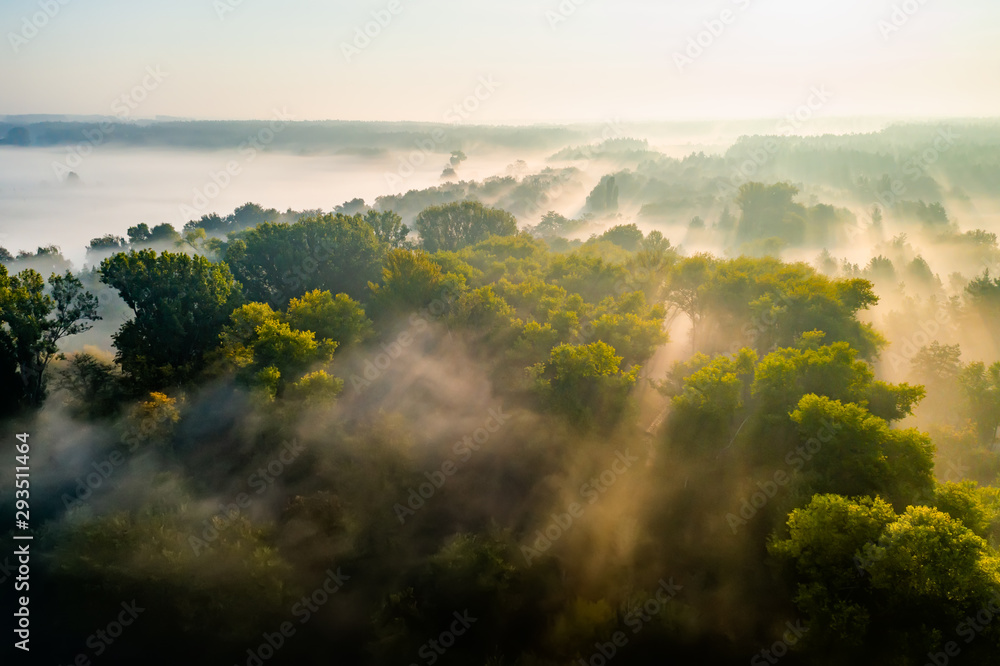 Beautiful misty dawn over the trees. Aerial view. Beautiful misty dawn over the trees. Aerial view.