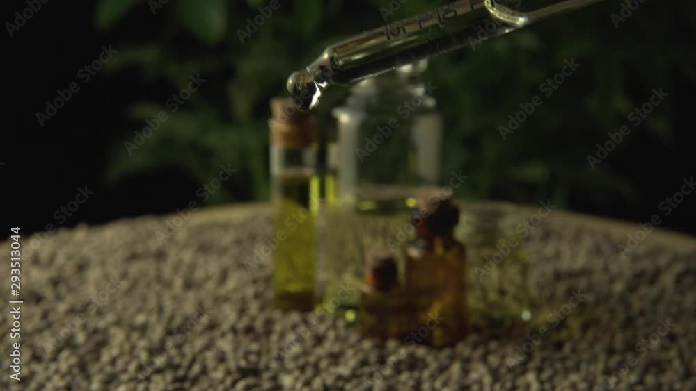 Concept of medical cbd oil treatment and produce. Hand dropping oil from pipette. Blurry cannabis plant on the background. Alternative medicine. New age healthcare pharmacy and wellbeing. Concept of medical cbd oil treatment and produce. Hand dropping oil from pipette. Blurry cannabis plant on the background. Alternative medicine. New age healthcare pharmacy and wellbeing.