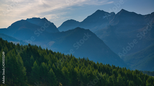 Forest in foreground and italian mountains in background, end of summer season