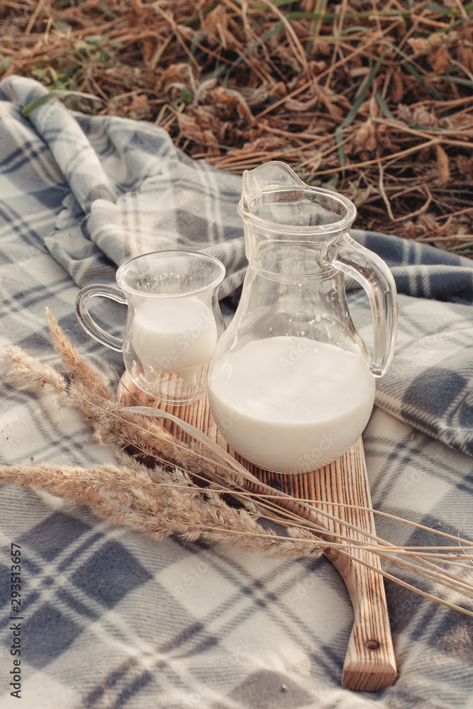 Carafe and a glass with milk on a wooden tray. Picnic in the meadow. Ears of wheat, rye Carafe and a glass with milk on a wooden tray. Picnic in the meadow. Ears of wheat, rye