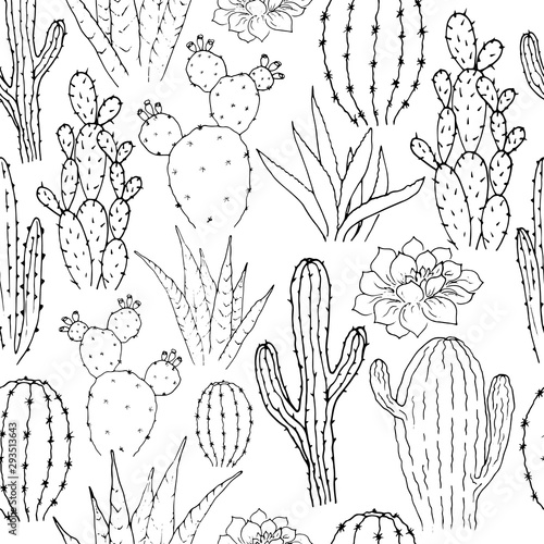 Vector seamless pattern with cacti. Linear monochrome hand-drawn illustration in cartoon style.
