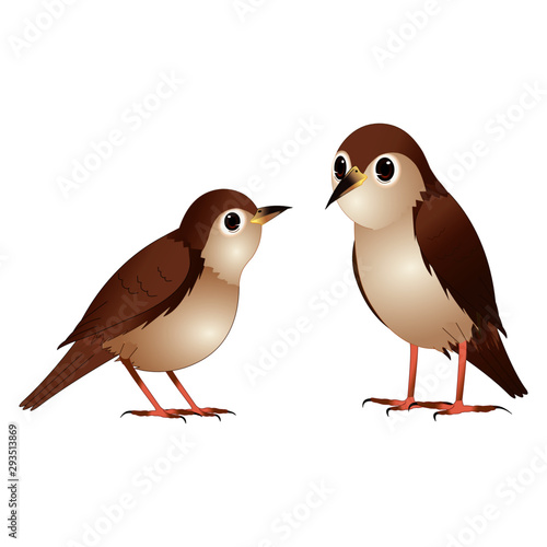Brown Nightingale Birds - Cartoon Vector Image
