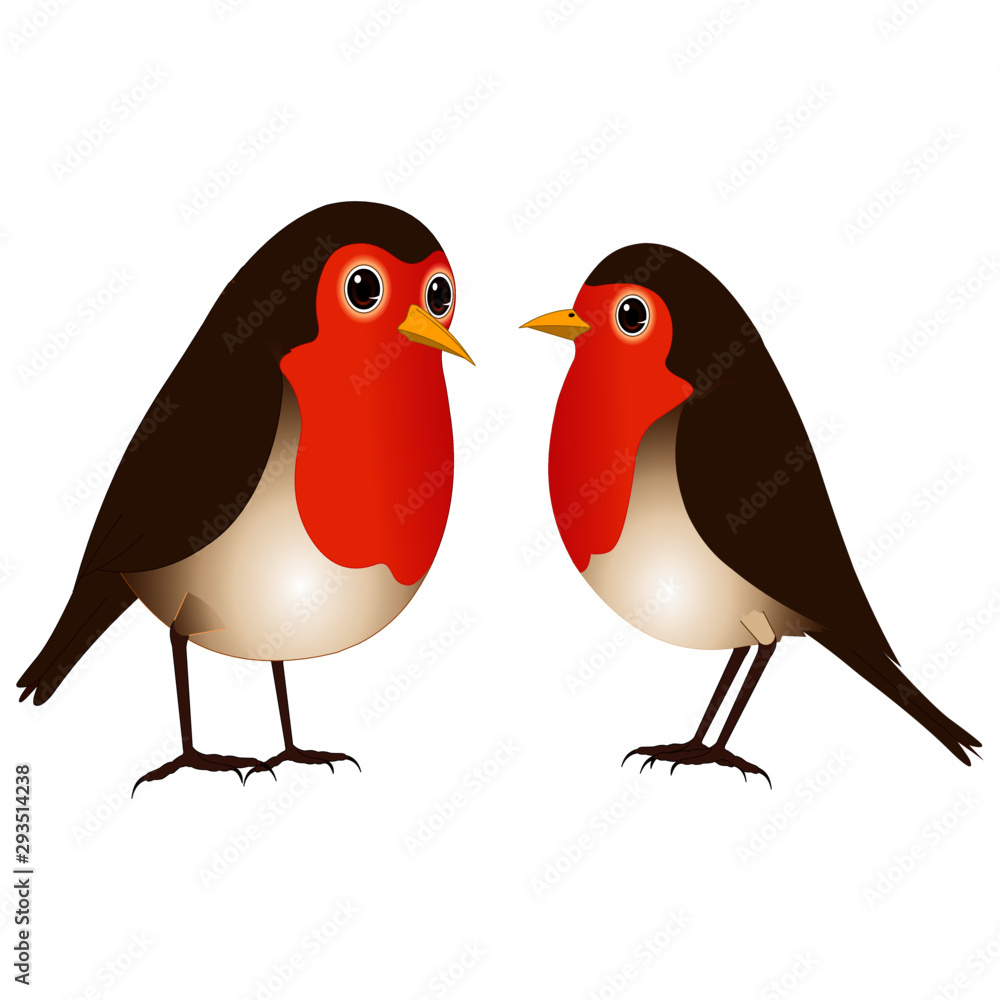 Naklejka premium Two Robin Birds - Vector Image