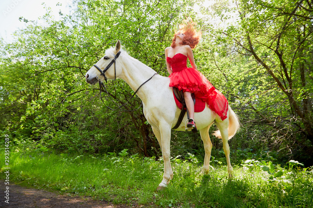Girl in beautiful red dress on white horse in Park or forest. Photo shoot models and fashion